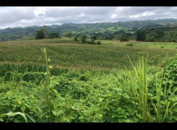 Terreno / Lote · 24ha · Terreno en Venta, Via Guayas - Manabi Vanc