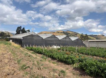 Terreno / Lote , Cayambe · Lote de Terreno en Venta Cayambe