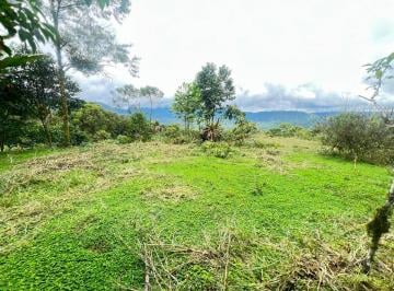 Terreno / Lote , Mindo · En Venta – Excelente Terreno en Mindo