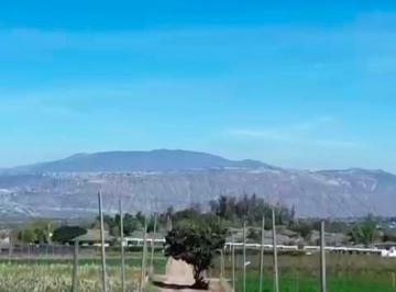 Hacienda-Quinta de 3 habitaciones, Quito · Checa, Vendo Hacienda con 81.000 m² Terreno, 1800 m² Construcción. Sembrío de Flores, Cannabis, Galpón