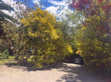 Terreno / Lote , Quito · Terreno de 1246 m² en Venta en Cumbayá con Áreas Verdes