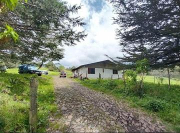 Hacienda-Quinta , Quito · Vendo Hacienda de 35 Hectáreas en El Pasochoa a 15 Minutos de Sangolquí