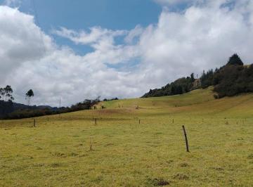 Hacienda-Quinta , Quito · Vendo Hacienda de 10 Hectáreas en El Pasochoa Vía a Los Volcanes