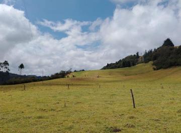 Hacienda-Quinta · 100m² · Vendo Hacienda de 10 Hectáreas en El Pasochoa Vía a Los Volcanes
