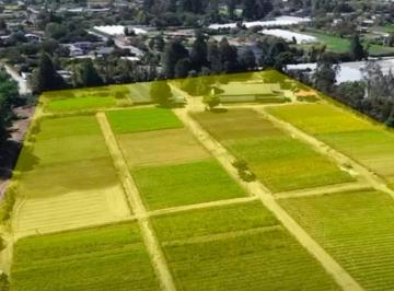 Terreno / Lote , Quito · Checa, Vendo Terreno 25.000 m² Terreno, con Sembrío de Flores, Futuro Inmobioiario, Sector Seguro