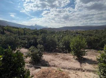 Terreno / Lote , Quito · Terreno Guayllabamba