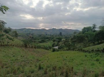 Terreno / Lote , Bolívar · Vendo 7.1 Hectáreas en El Guabal, Bolívar, Calceta, Manabí, Terreno Para Ganadería, Pasto Bovino