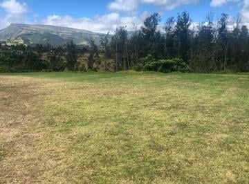 Terreno / Lote · 300m² · Pifo Venta Terreno en 2500 m² con Galpón 300 m