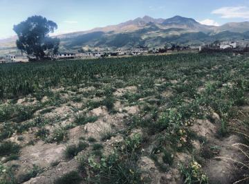 Terreno / Lote , Machachi · Terreno Urbano Ideal Proyecto Inmobiliario