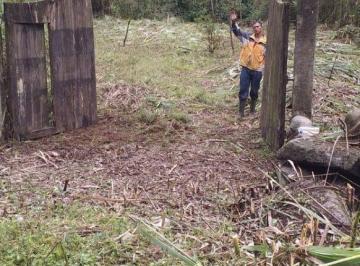 Terreno / Lote , Mindo · Terreno Venta Mindo Sector Pura Vida