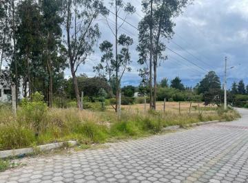 Terreno / Lote · 3999m² · Venta Terreno de 3.999 m² en Nayón