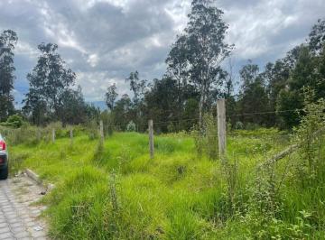 Terreno / Lote · 6523m² · Venta Terreno de 6.523 m² en Nayón