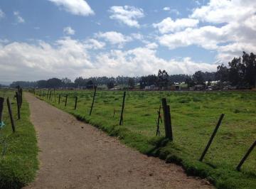 Hacienda-Quinta · 1000ha · 4 Habitaciones · 20 Estacionamientos · Venta Hacienda de 30 Hectáreas en Lasso Vía Principal - Lasso