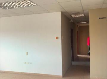 Oficina comercial , Guayaquil · Alquilo Oficinas en La Atarazana