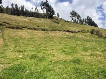 Terreno / Lote , Cayambe · Terreno con Luz y Agua - en Venta - Cayambe - 8700 m²