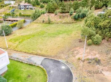 Terreno / Lote · 1598m² · En Venta Terreno Plano Dentro de Exclusiva Urbanización El Alamo Vía Tarqui