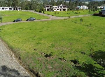 Terreno / Lote , Cotacachi · Tierra Firme 2. Terreno en Venta 1547 m²