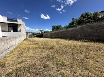 Terreno / Lote · 500m² · 4 Estacionamientos · Terreno en Venta 490 Mtrs2 Tumbaco La Morita Dentro de Urbanización