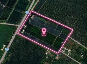 Terreno / Lote · 116000m² · Terreno Industrial en Venta, Via Duran Taura, Rosa Elvira, Cyp