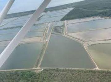 Hacienda-Quinta , Machala · Camaronera en Venta El Oro Sector El Guabo