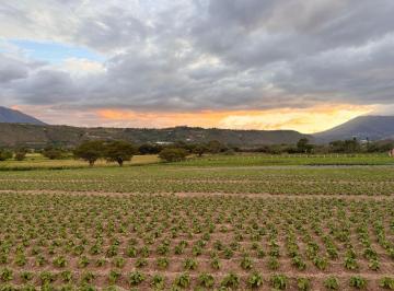 Terreno / Lote · 12275m² · Terreno en Imbaya