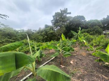 Terreno / Lote · 1ha · Venta de Terreno. Via Duran Boliche Km18.karr