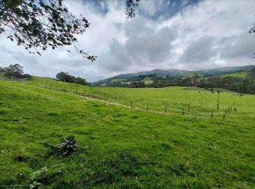 Hacienda-Quinta , Quito · Propiedad Productiva de 36 Hectáreas – Sector Chillís, Valle de Los Chillos