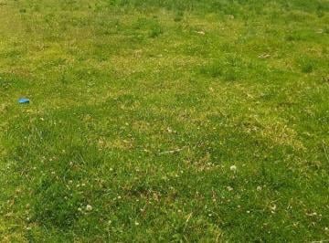 Hacienda-Quinta , Latacunga · En Venta – Hacienda de 23 Hectáreas en Belisario Quevedo – Guanilín