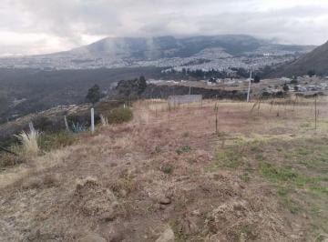 Se vende terreno sector Iñaquito Alto
precio de oferta .
600 metros con 2 frente · Venta Terreno 600 m. Precio de Oportunidad Sector Universidad 2 Emisferios
