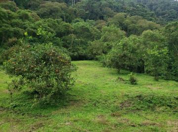 Hacienda-Quinta , Santo Domingo · Hacienda de 100 Hectáreas en Tandapi – Río Pilatón