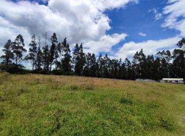 Hacienda-Quinta , Quito · Quinta de 10500 m² en Venta en Sector Pintag Cerca E35