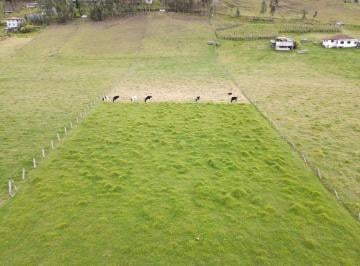Terreno / Lote , Cuenca · Terreno de Una Hectarea en Tarqui, Sector Rosa de Oro