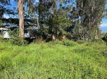 Terreno / Lote , Quito · Nayon 1.000 m² Nayon Terreno de Venta Dentro de Urbanización Privada