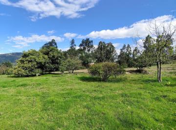 Terreno / Lote · 4000m² · Terreno en Renta en San Francisco de Pinsha, 4.000 m², Ideal Para Turismo, Eventos y Gastronomía