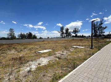 Terreno / Lote , Quito · Hermoso Lote en Puembo Dentro de Conjunto