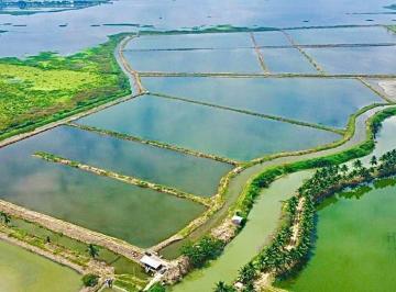 Terreno / Lote · 285ha · Venta de Camaronera 285,44 Ha en Manabí | Operativa | Inversión Agroindustrial Am