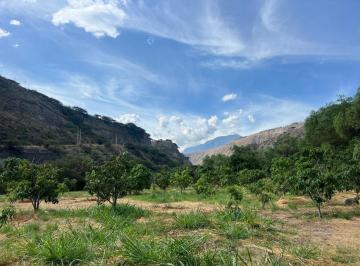 Hacienda-Quinta · 260000m² · 3 Habitaciones · Mv - Provincia del Carchi, Cantón Mira, Finca Productora de Fruta en Venta, 260.000 m²
