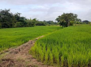 Terreno / Lote , Colimes · Se Vende Finca,10.97ha en Colimes con Riego y Río