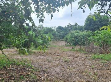 Hacienda-Quinta · 20000ha · 4 Estacionamientos · Quinta en Venta de 3240,05 m² en Isidro Ayora m. B.