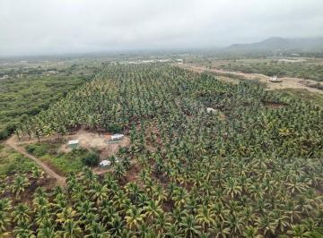 Terreno / Lote , Jipijapa · Terreno de Venta en Puerto Cayo Frente Al Mar