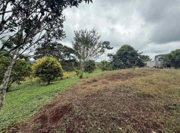 Hacienda-Quinta de 4 habitaciones, Los Bancos · Finca Productiva en Venta - Sector Los Bancos