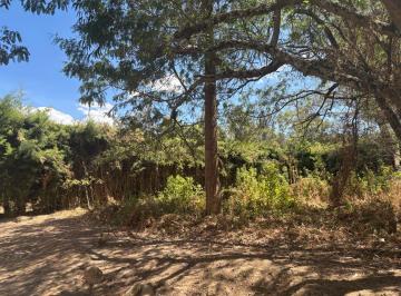 Entorno natural de la propiedad · Terreno en Venta en Nayón – San Francisco de Tanda con Hermosa Vista