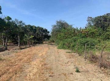 Terreno / Lote , Portoviejo · Terreno de Venta en Portoviejo Zona Rosa