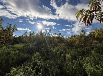 Terreno / Lote · 4000m² · Patate - Terreno Yamate