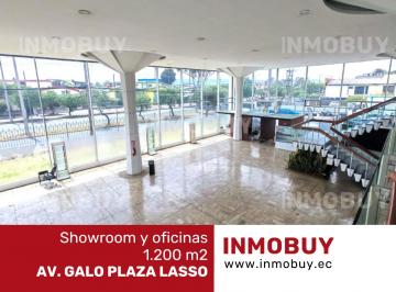Local comercial , Quito · Rento Showroom con Oficinas 1.200 m² – Av Galo Plaza Lasso, Norte de Quito