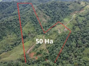 Terreno / Lote , Los Bancos · Finca de 50 Ha en San Miguel de Los Bancos