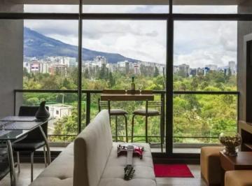 Suite de 1 habitación, Quito · Suite con Balcón y Vista Privilegiada de La Carolina