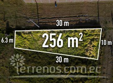 Terreno / Lote · 256m² · Terreno en Venta 256 m², Sector Miranda Cerca Plaza Agapanthus