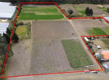 Terreno / Lote , Pedro Moncayo · Vendo Terreno en Pedro Moncayo de 22,625 m² Sector La Esperanza