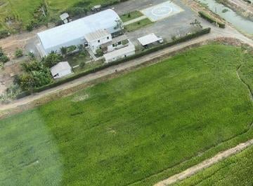 Terreno / Lote · 5000m² · 3 Habitaciones · 20 Estacionamientos · Vendo Terreno con Galpon y Helipuerto Via Yaguachi